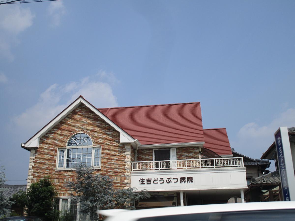 ドッグメディカル 周辺の生活施設情報 住吉どうぶつ病院 ドッグメディカル 周辺の生活施設情報 住吉どうぶつ病院