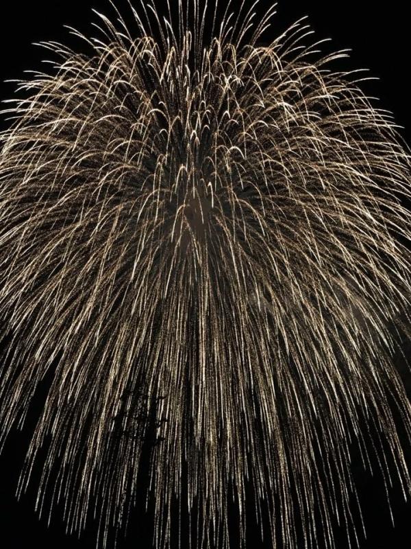 旅探 たびたん 佐倉市民花火大会