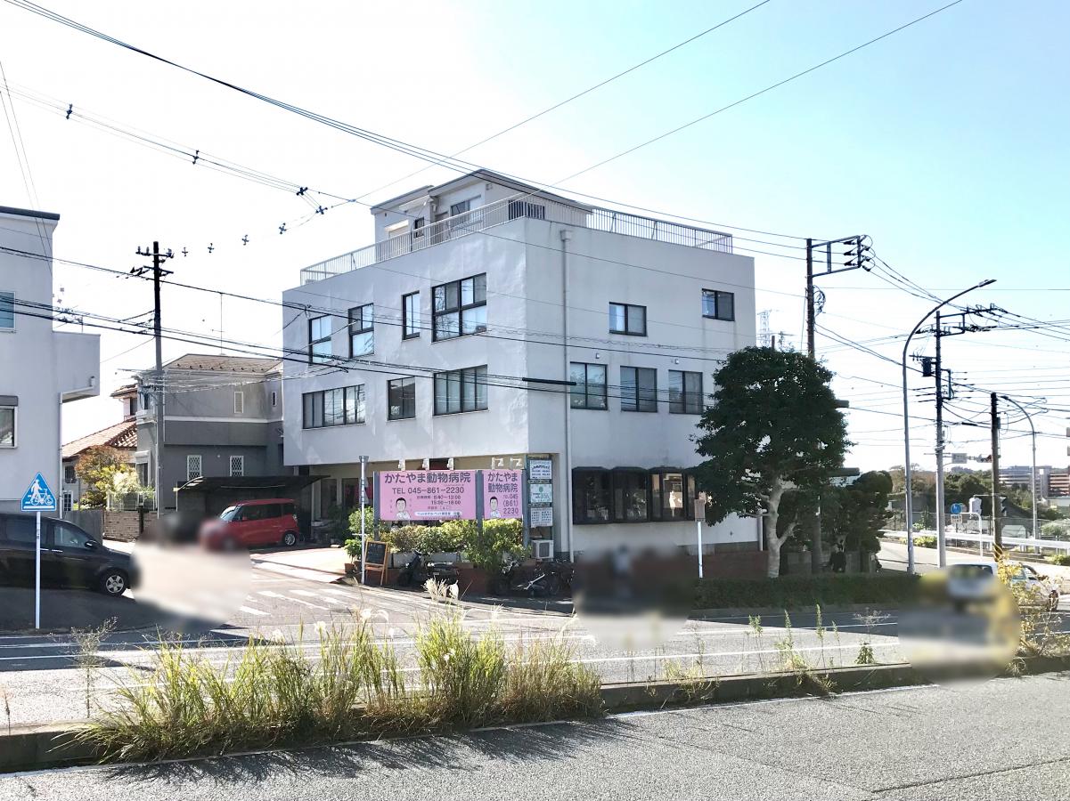 ドッグメディカル かたやま動物病院 ドッグメディカル かたやま動物病院