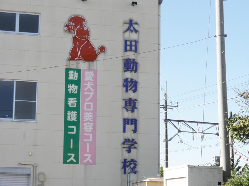 スタディピア 太田動物専門学校 太田市台之郷町