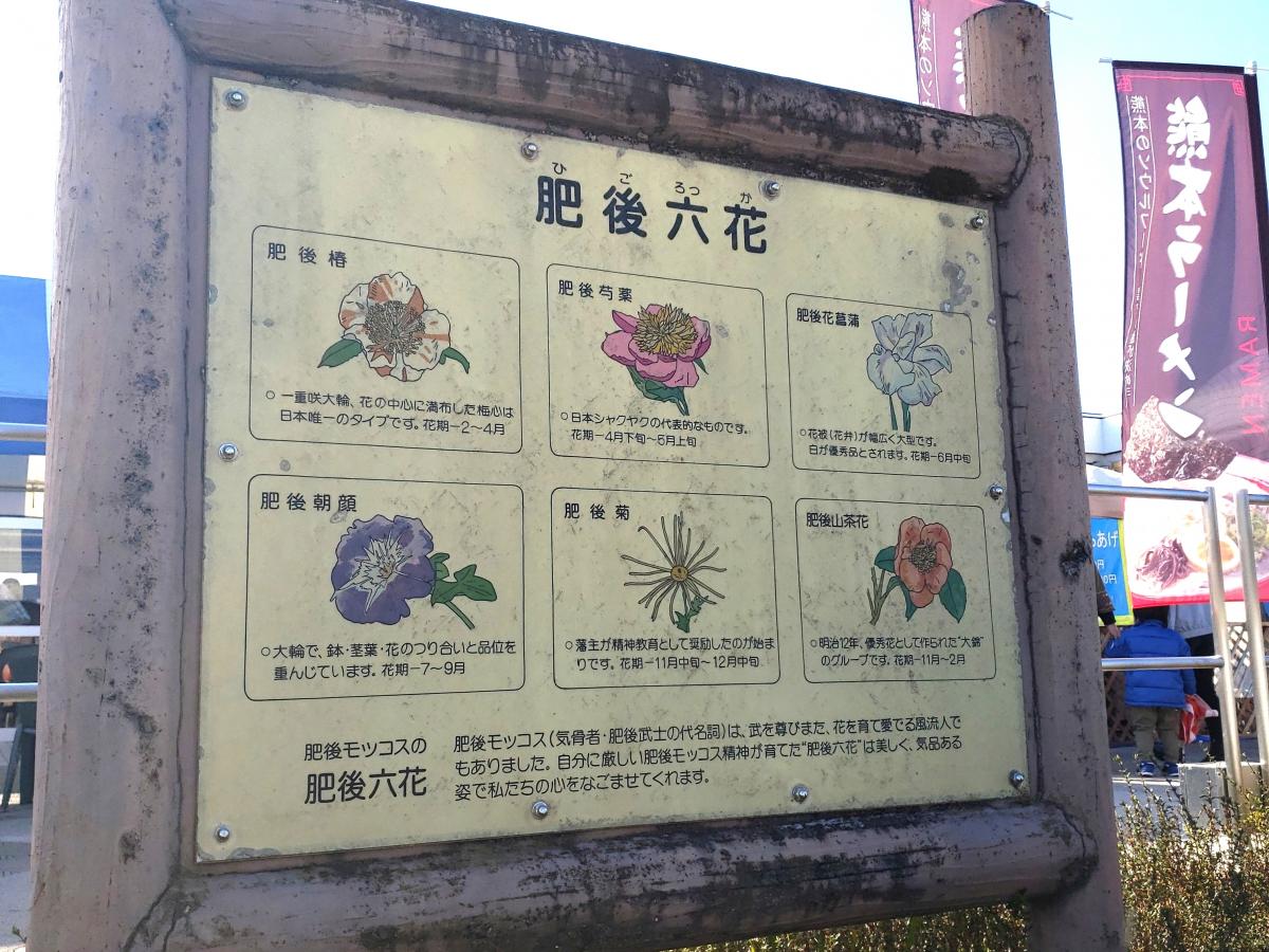 ユキサキナビ 写真 北熊本ｓａ