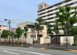 スタディピア 東京都の保育園 保育所 2ページ