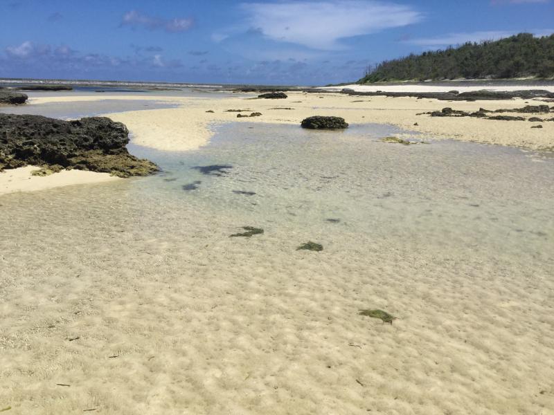 パブリネット シンリ浜海浜公園 島尻郡久米島町 の投稿写真一覧