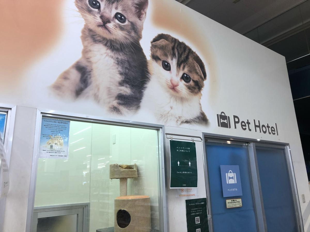 マーケットピア】ペットステーションワンあがり浜店(島尻郡与那原町東浜)