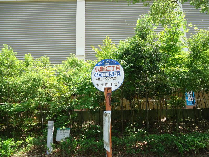 スタディピア 小倉台小学校 印西市 周辺施設 口コミ 写真 動画