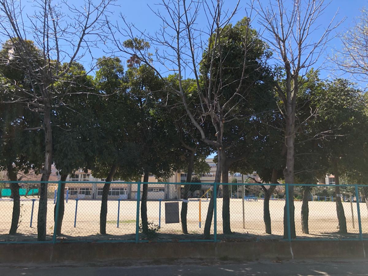 柿ノ木台小学校／ホームメイト