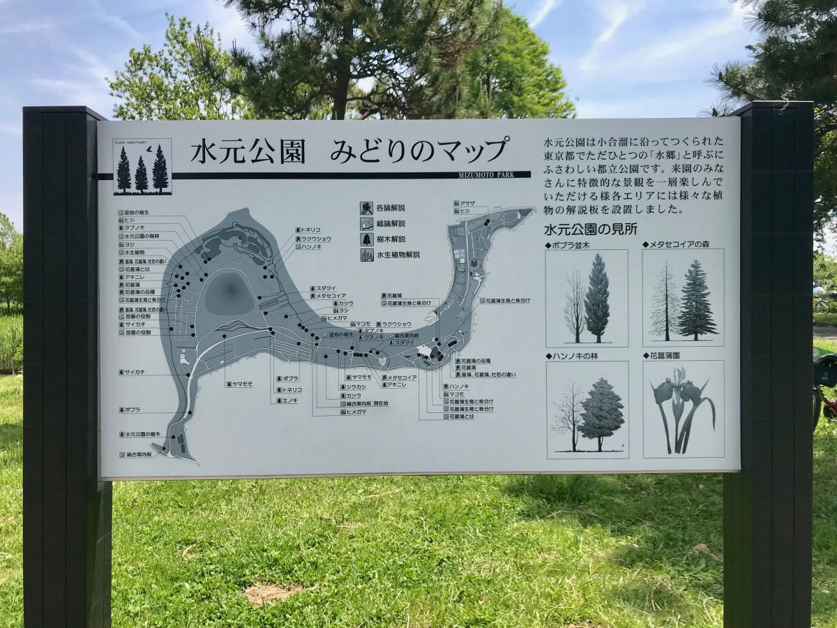 パブリネット】水元公園の投稿写真一覧
