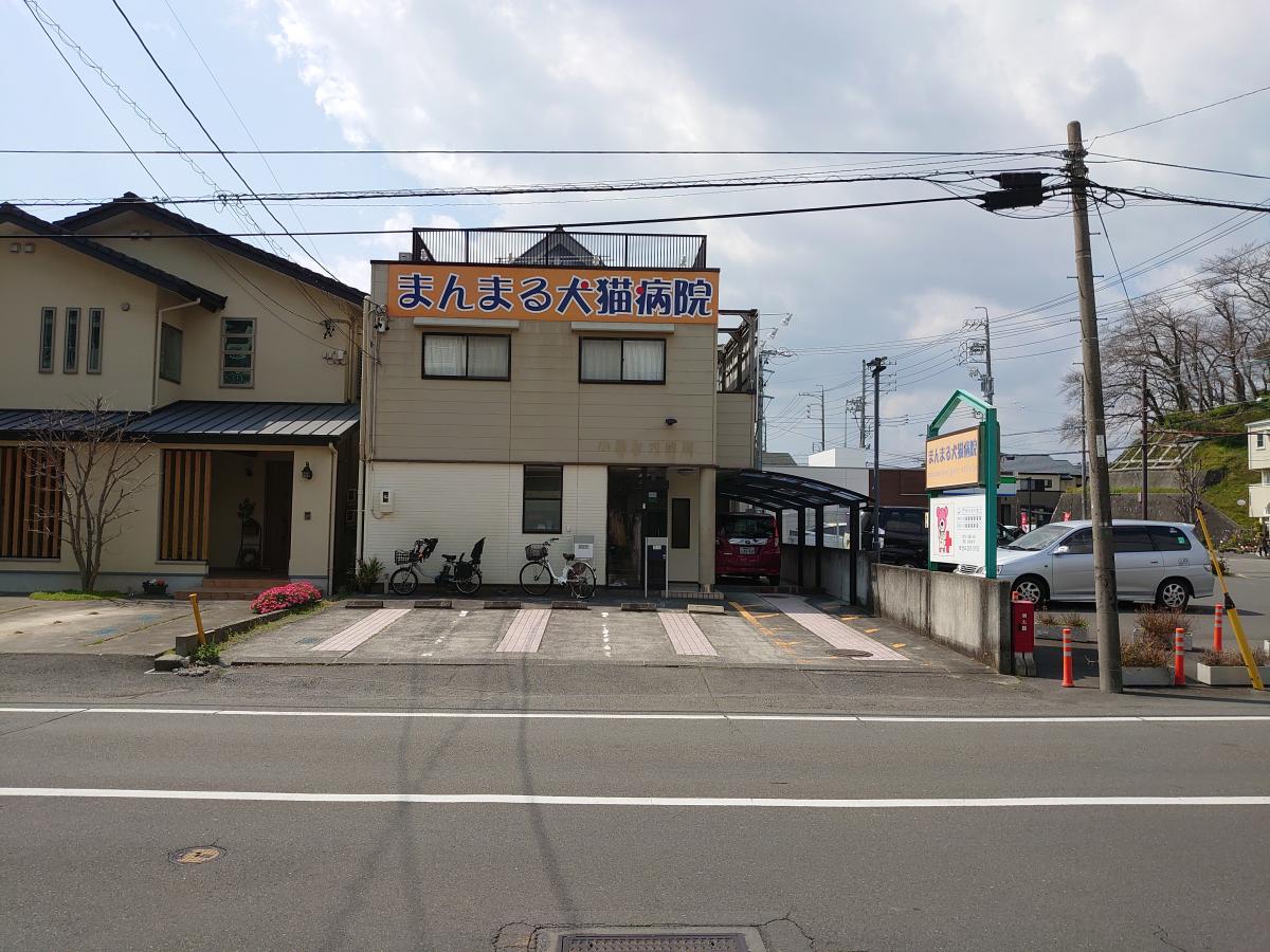 ドッグメディカル まんまる犬猫病院 静岡市駿河区八幡