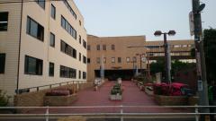 東京 市 図書館 西