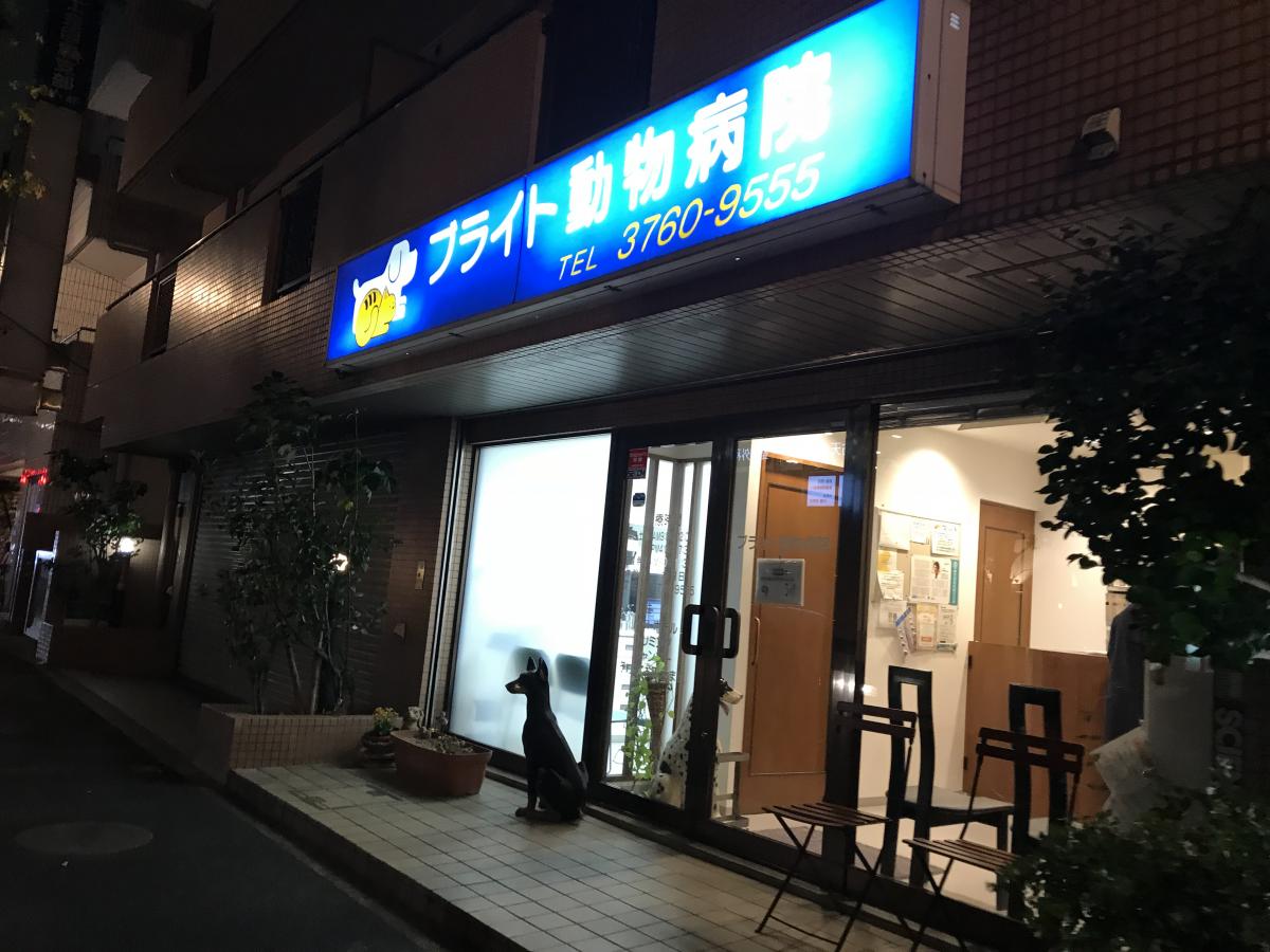 マーケットピア テリアス目黒店 目黒区鷹番