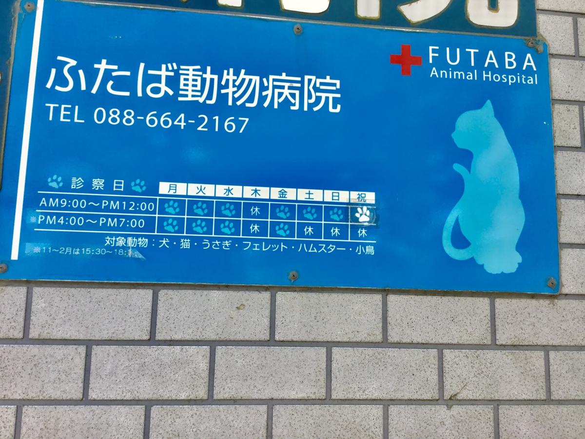 ドッグメディカル ふたば動物病院 徳島市南沖洲