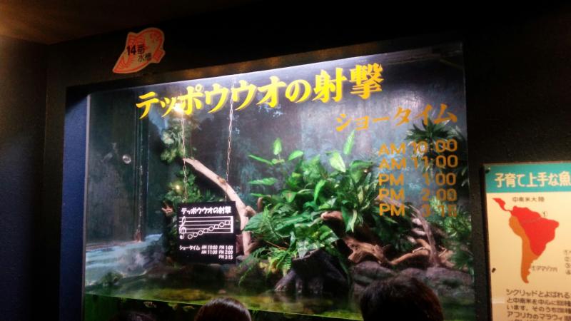 旅探 たびたん 寺泊水族博物館 長岡市寺泊