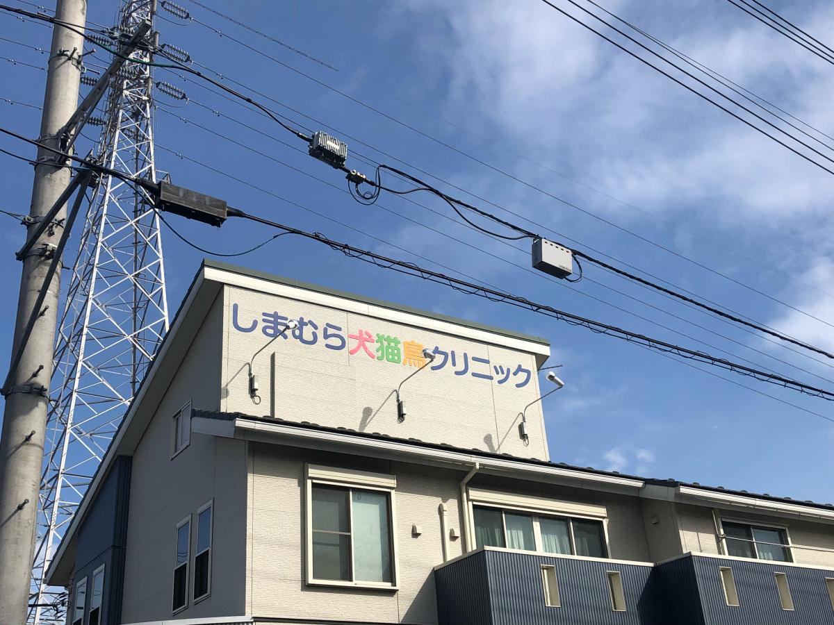 ドッグメディカル しまむら犬猫鳥クリニック ドッグメディカル しまむら犬猫鳥クリニック