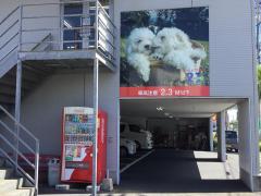 マーケットピア ペットショップ 全国 アクセスランキング