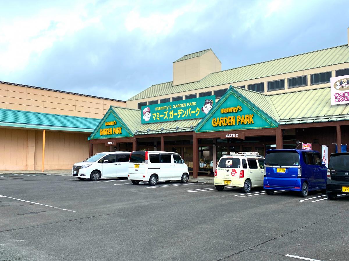 ホームメイト サンシャイン ｋａｔｓｕｔａ 2階3