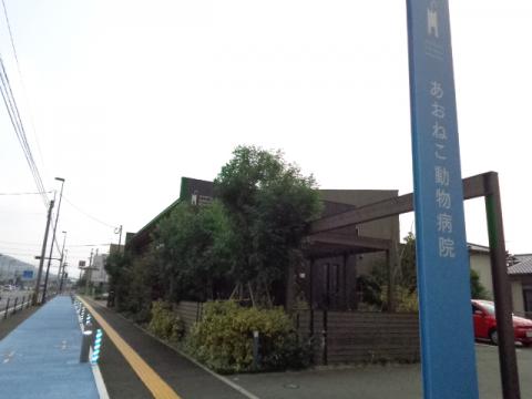 ドッグメディカル あおねこ動物病院