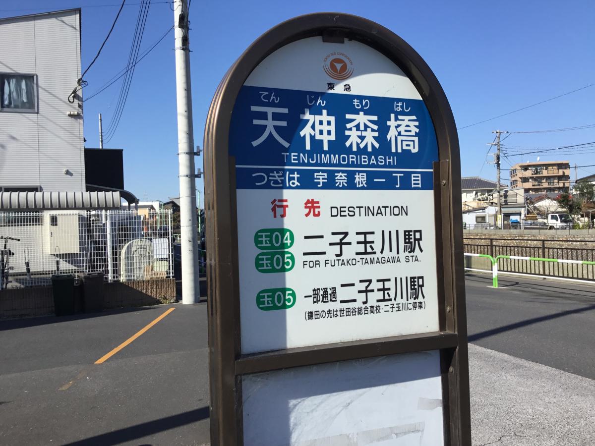 マーケットピア ブックオフ 大蔵多摩堤通り店 世田谷区 の周辺施設写真一覧 マーケットピア ブックオフ 大蔵多摩堤通り店 世田谷区 の周辺施設写真一覧