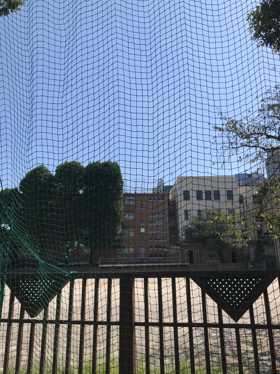 スタディピア 宝仙学園高校