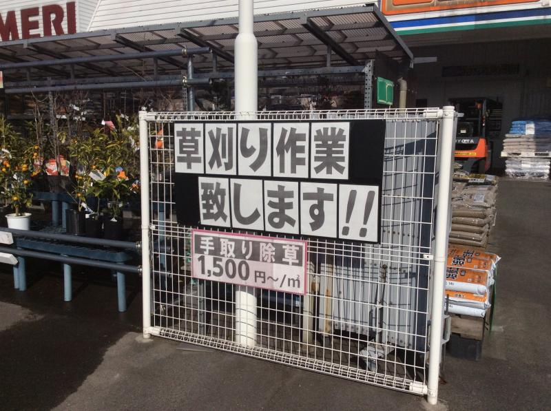 マーケットピア コメリハード グリーン 天理店 天理市 の投稿ユーザーアルバム