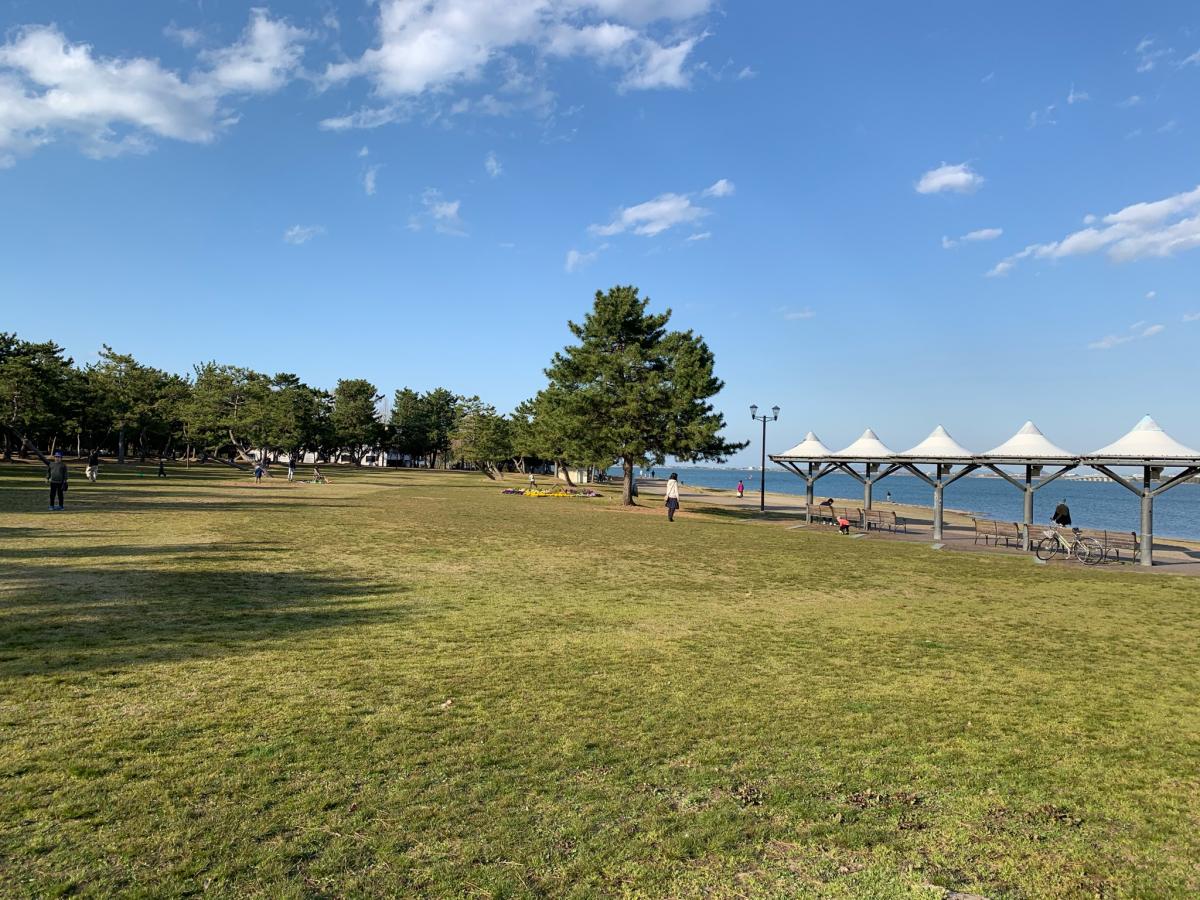 パブリネット 大津湖岸なぎさ公園 大津市 の投稿写真一覧
