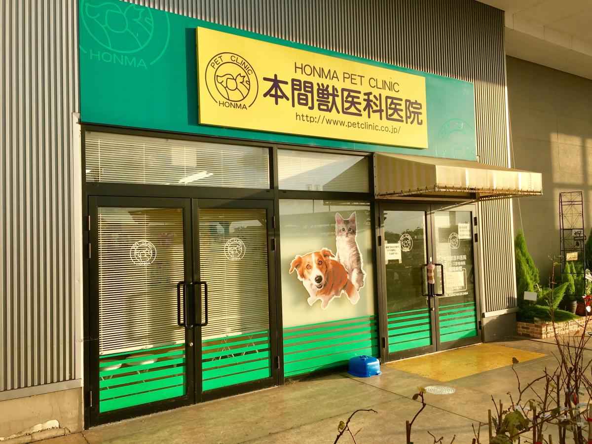 ドッグメディカル 本間獣医科医院カインズ彦根病院 彦根市馬場