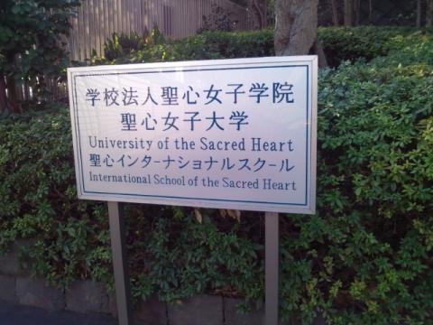 スタディピア 聖心女子大学 渋谷区