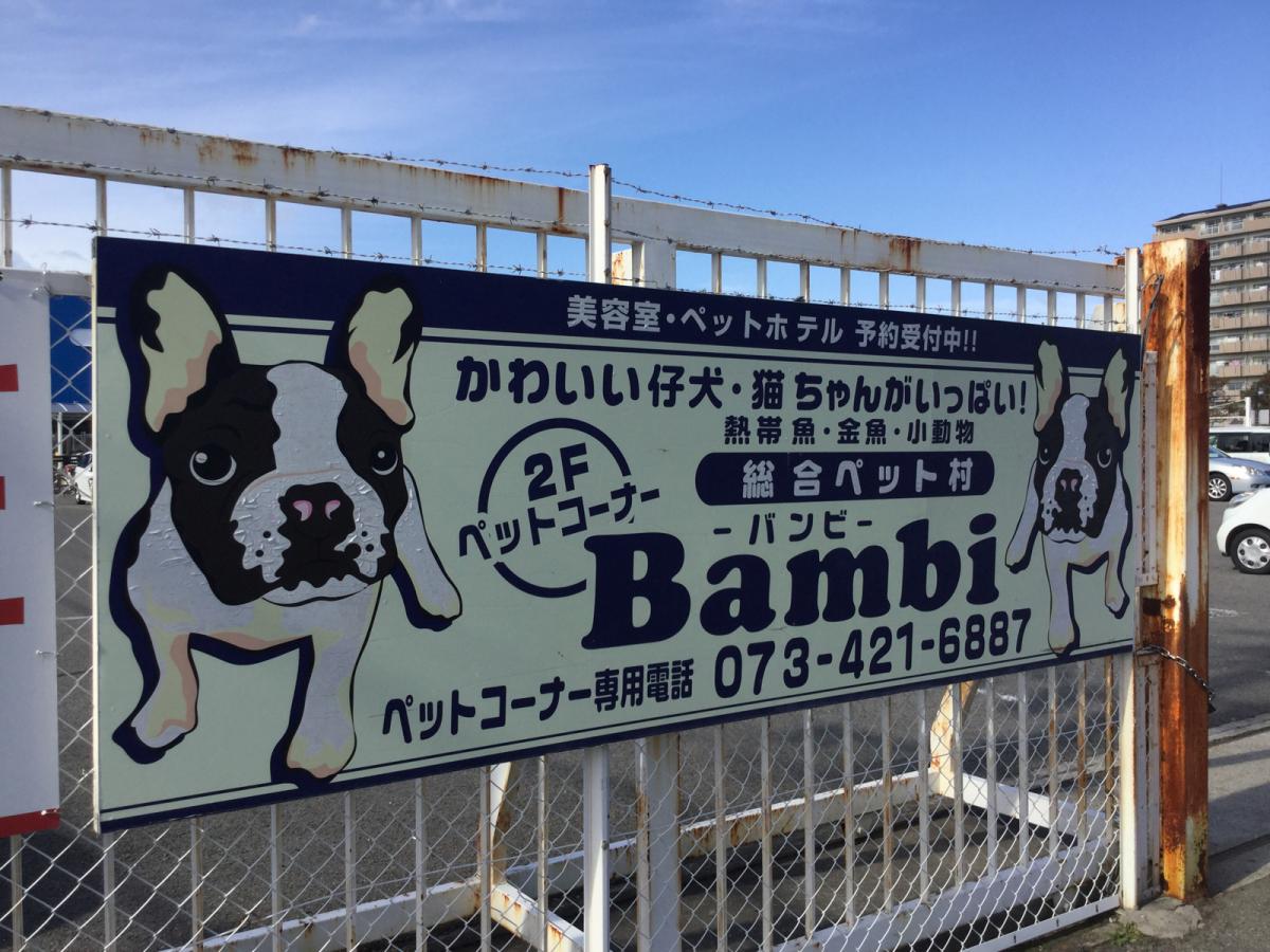 マーケットピア ホームセンターコーナン 和歌山店 和歌山市南片原