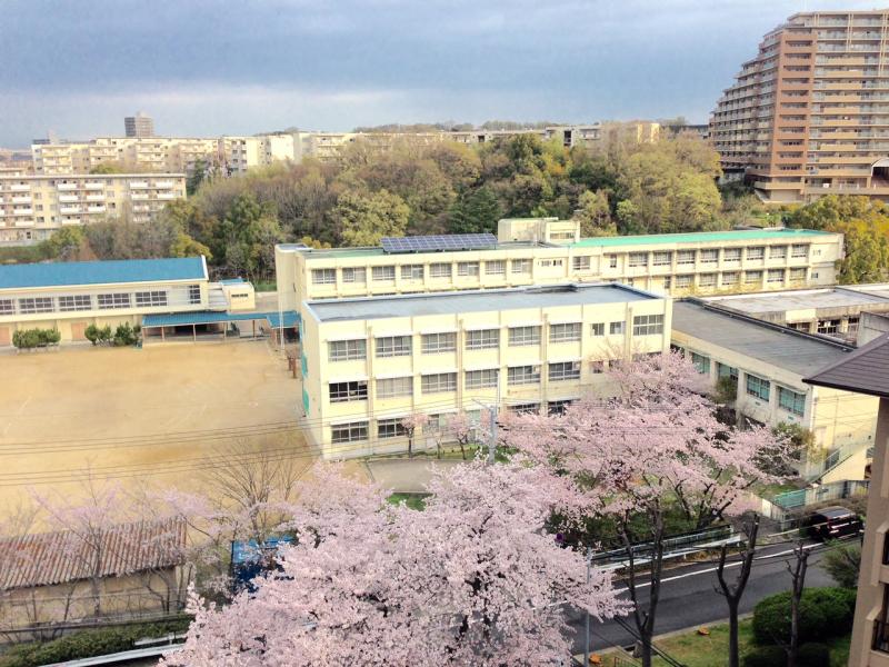 【スタディピア】若松台小学校(堺市南区若松台) 【スタディピア】若松台小学校(堺市南区若松台)