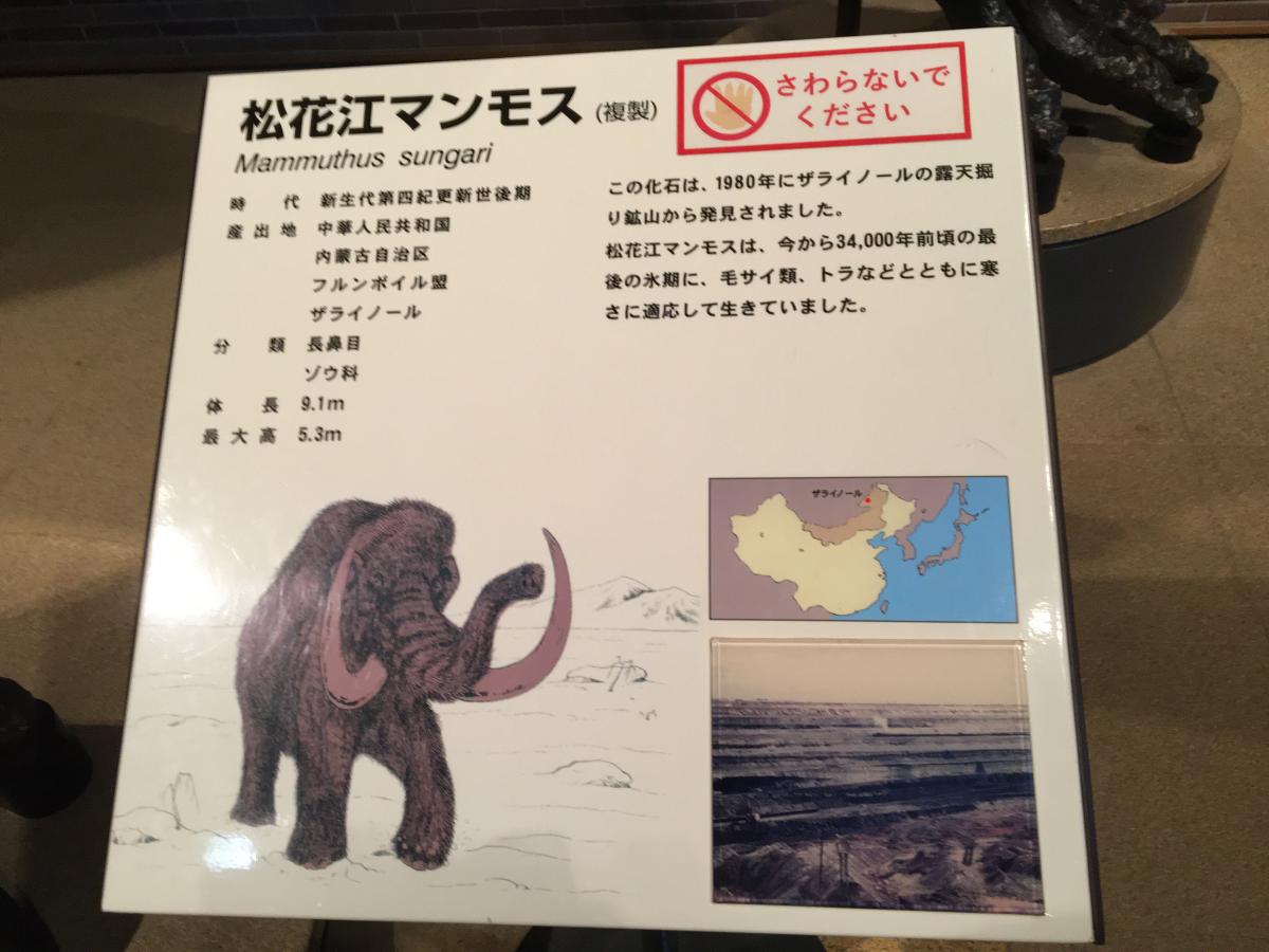 旅探 たびたん ミュージアムパーク茨城県自然博物館 茨城県坂東市 投稿ユーザー写真集