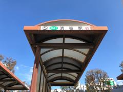 ユキサキナビ 大井町駅 品川区 の周辺施設写真一覧 1ページ