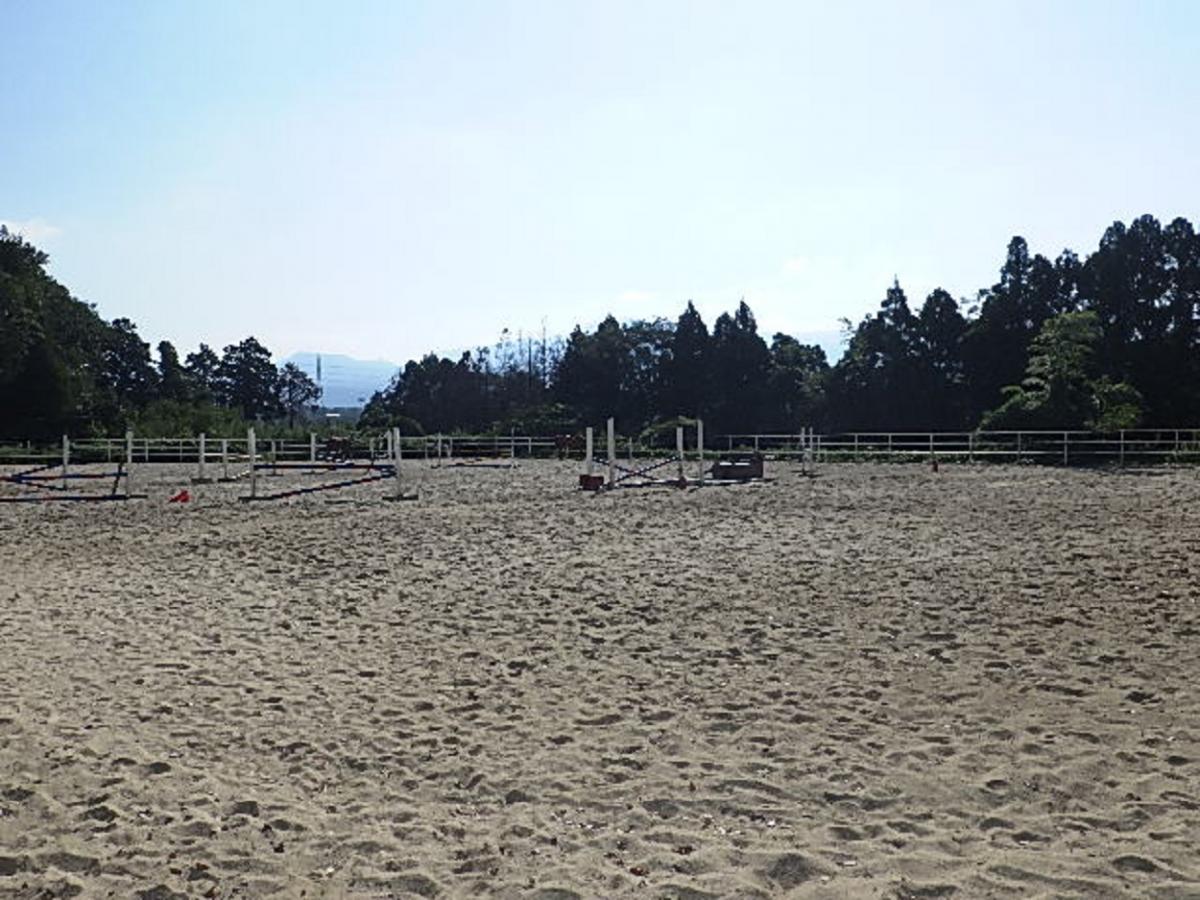 坂本牧場/ホームメイト