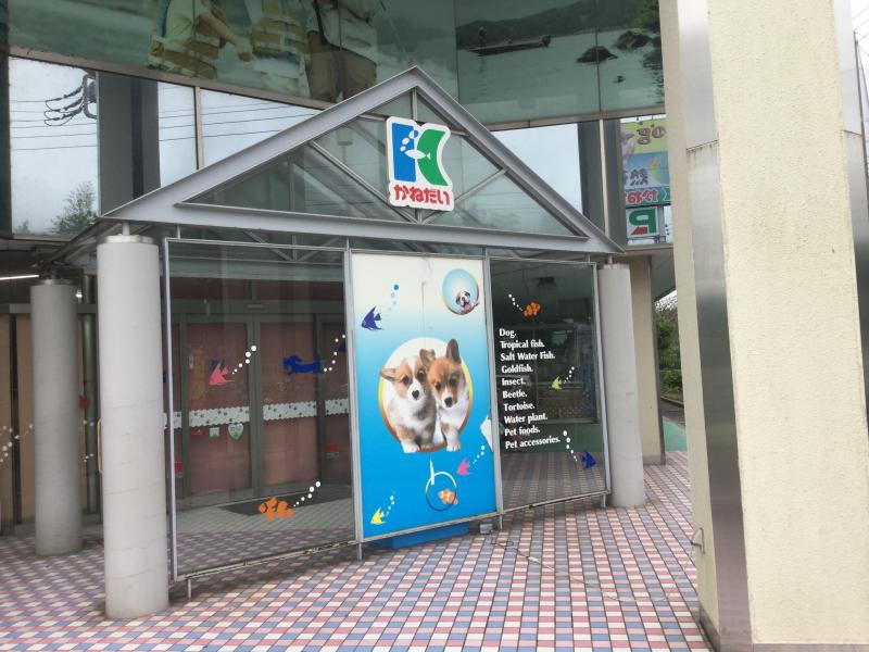 マーケットピア アクア ペットかねだい 八千代店 八千代市村上