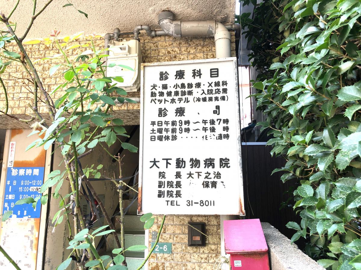 ドッグメディカル 大下動物病院 広島市西区横川町