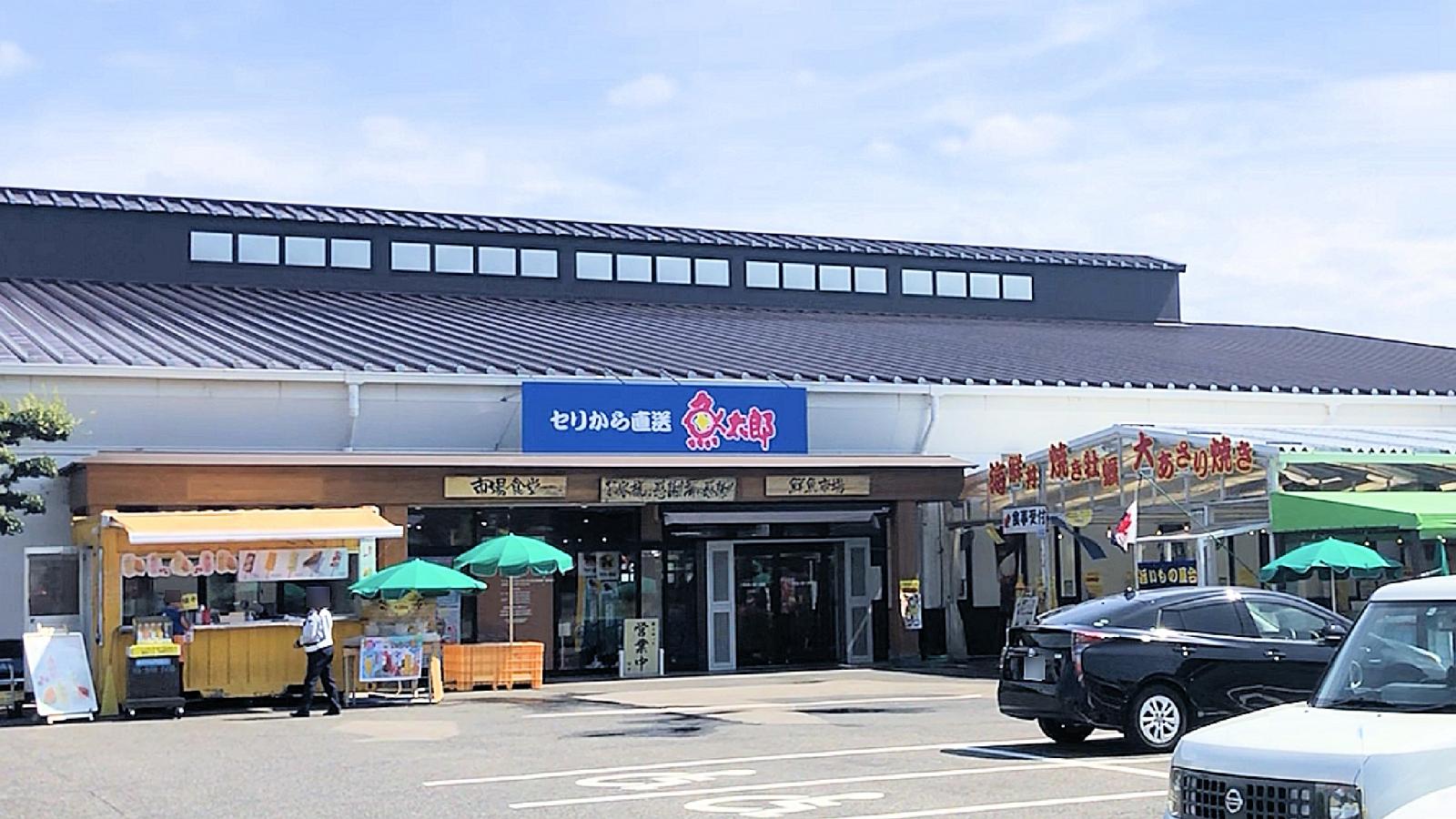 旅探 たびたん 魚太郎 知多郡美浜町豊丘