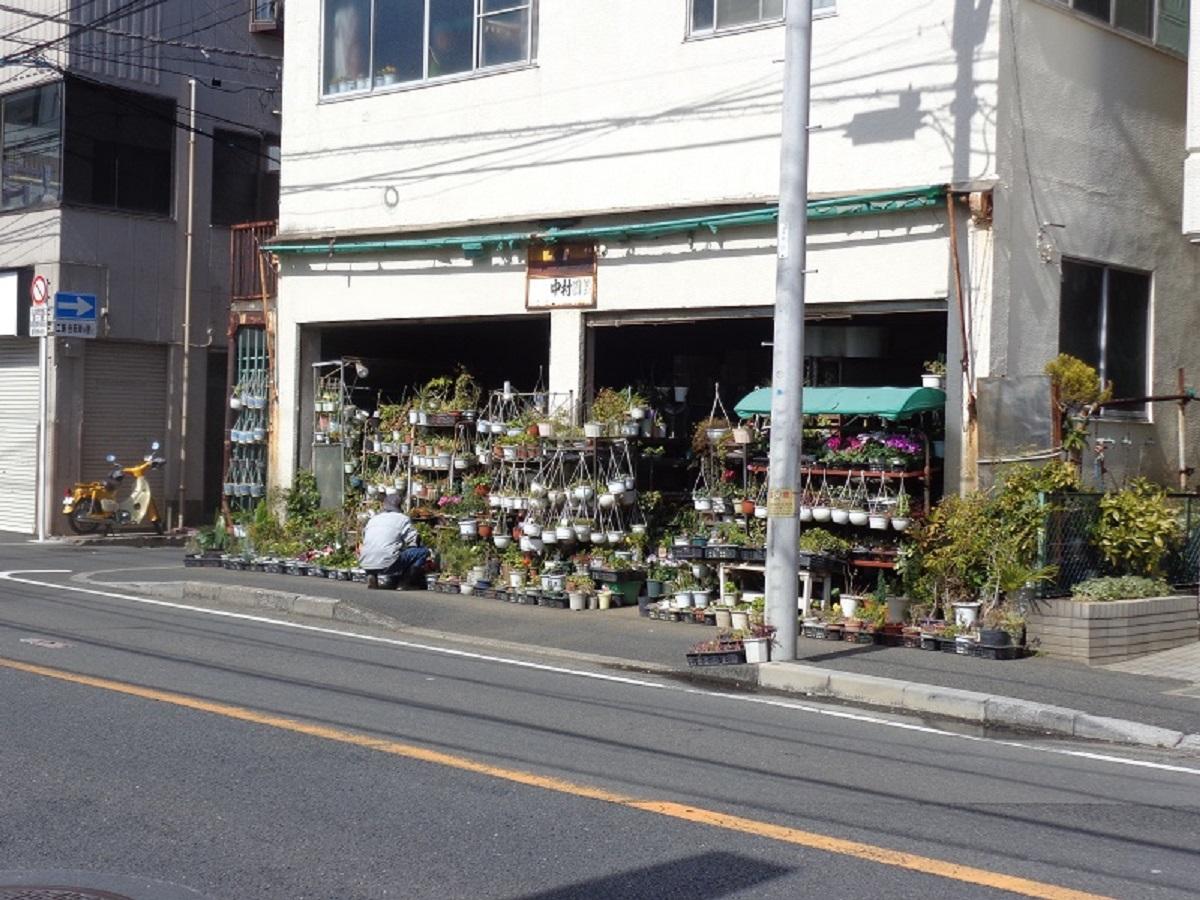 マーケットピア 中村園芸金魚店 船橋市本中山