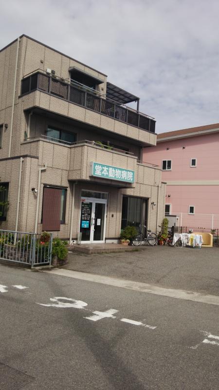 ドッグメディカル 堂本動物病院 明石市大久保町わかば