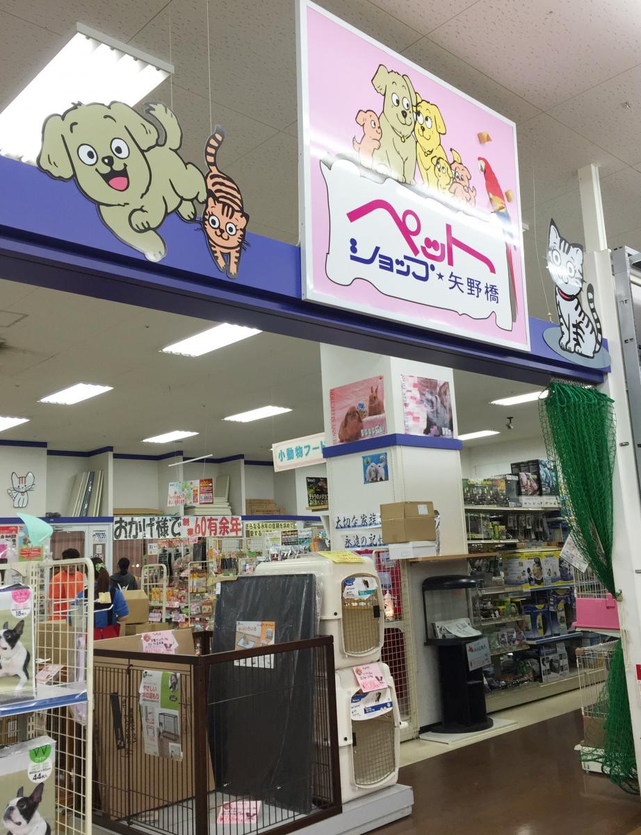 カーディーラー 自動車販売店