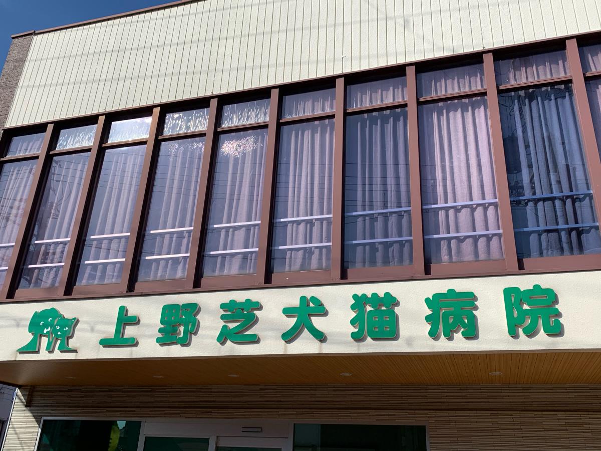 ドッグメディカル 上野芝犬猫病院 堺市堺区東上野芝町 １丁