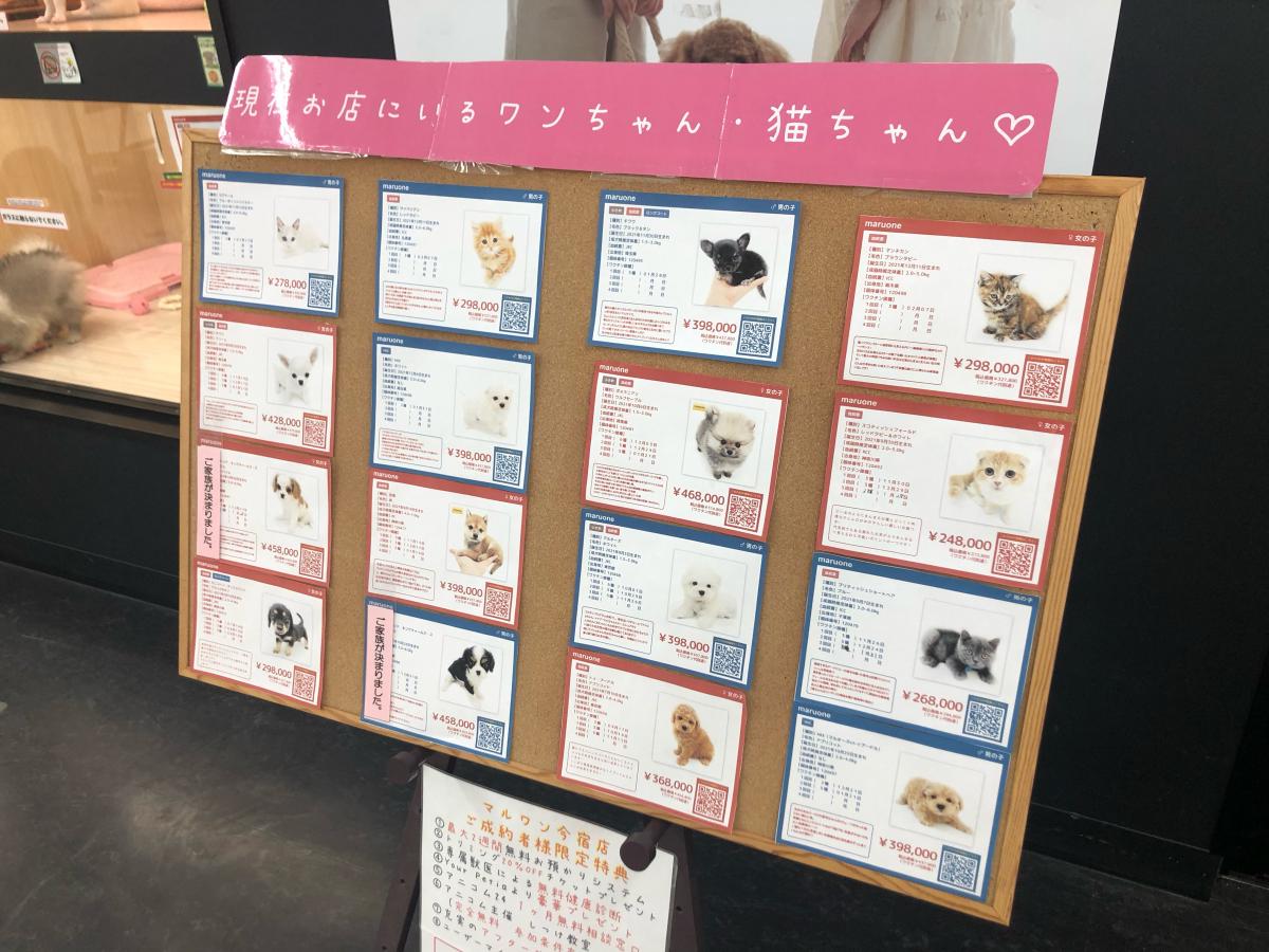 マーケットピア マルワン 今宿店