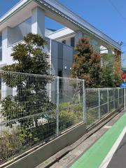 み ぬ ま 幼稚園