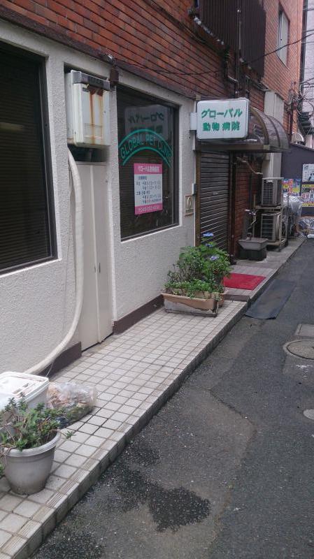 ドッグメディカル グローバル動物病院 横浜市南区真金町