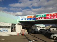 マーケットピア 一宮市のドラッグストア 薬局 薬店