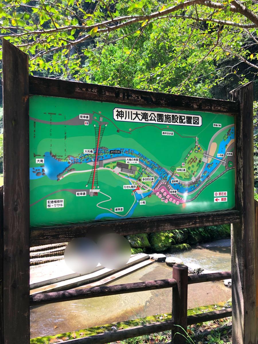 神川大滝公園 虹の吊橋 大滝橋と大滝の茶屋 錦江町 神川大滝公園の写真 トリップアドバイザー
