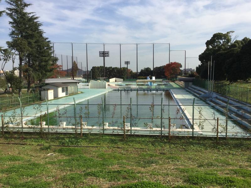 スポランド 秦野市 カルチャーパーク水泳プール 秦野市平沢