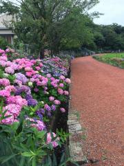 旅探 たびたん 潮来市の観光スポット 旅行 レジャー