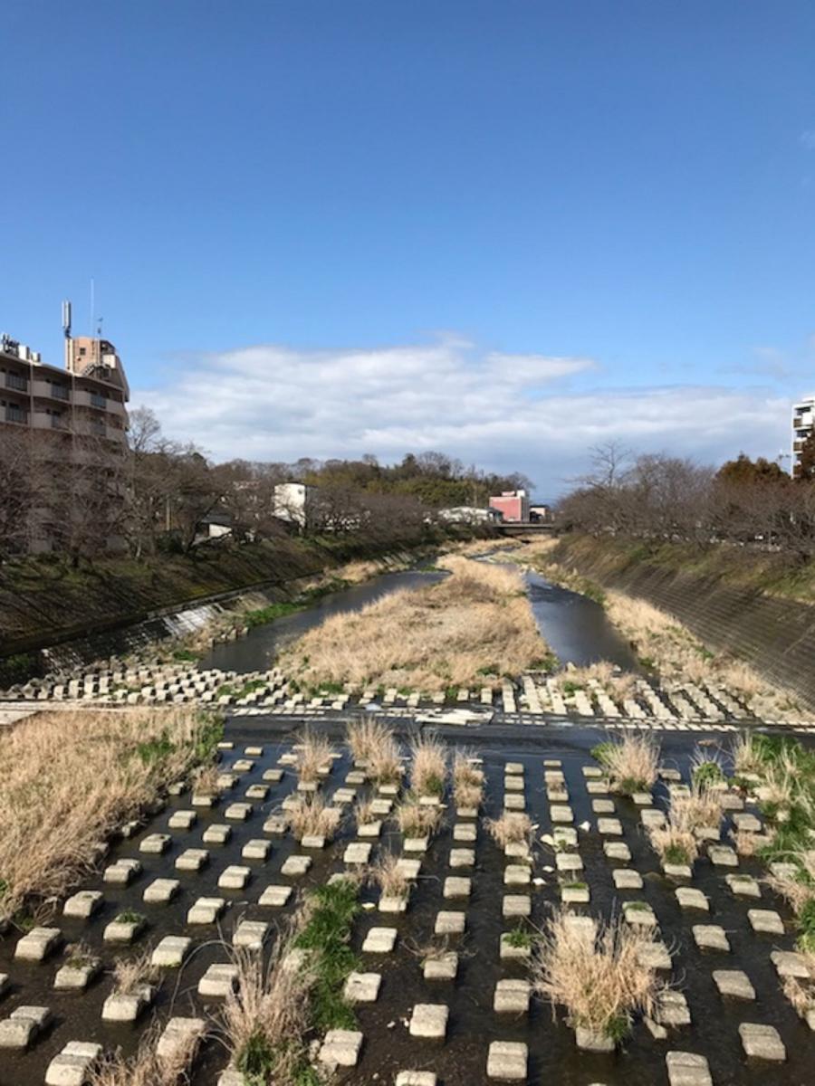 旅探 たびたん 犬上川