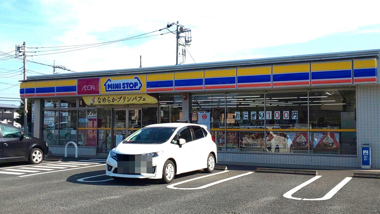 マーケットピア ミニストップ 伊奈中央店 北足立郡伊奈町 周辺の生活施設情報