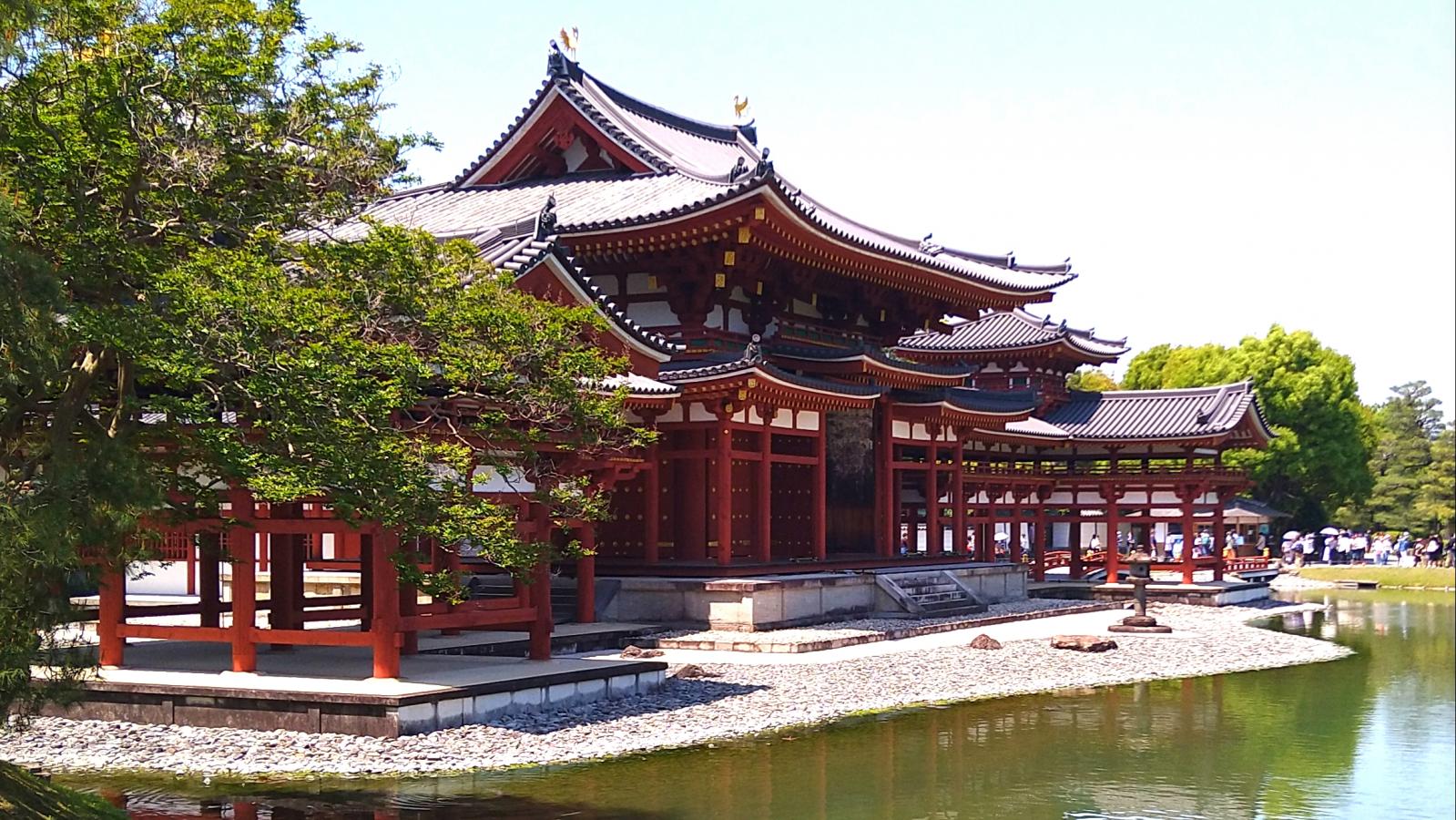 旅探 たびたん 口コミ 平等院