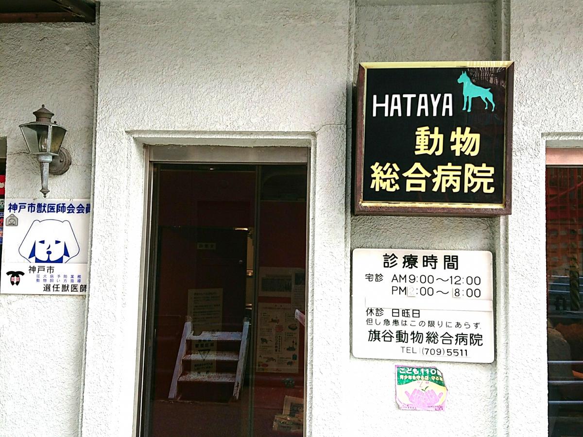 スタディピア 周辺施設の口コミ 写真 動画 高丸幼稚園