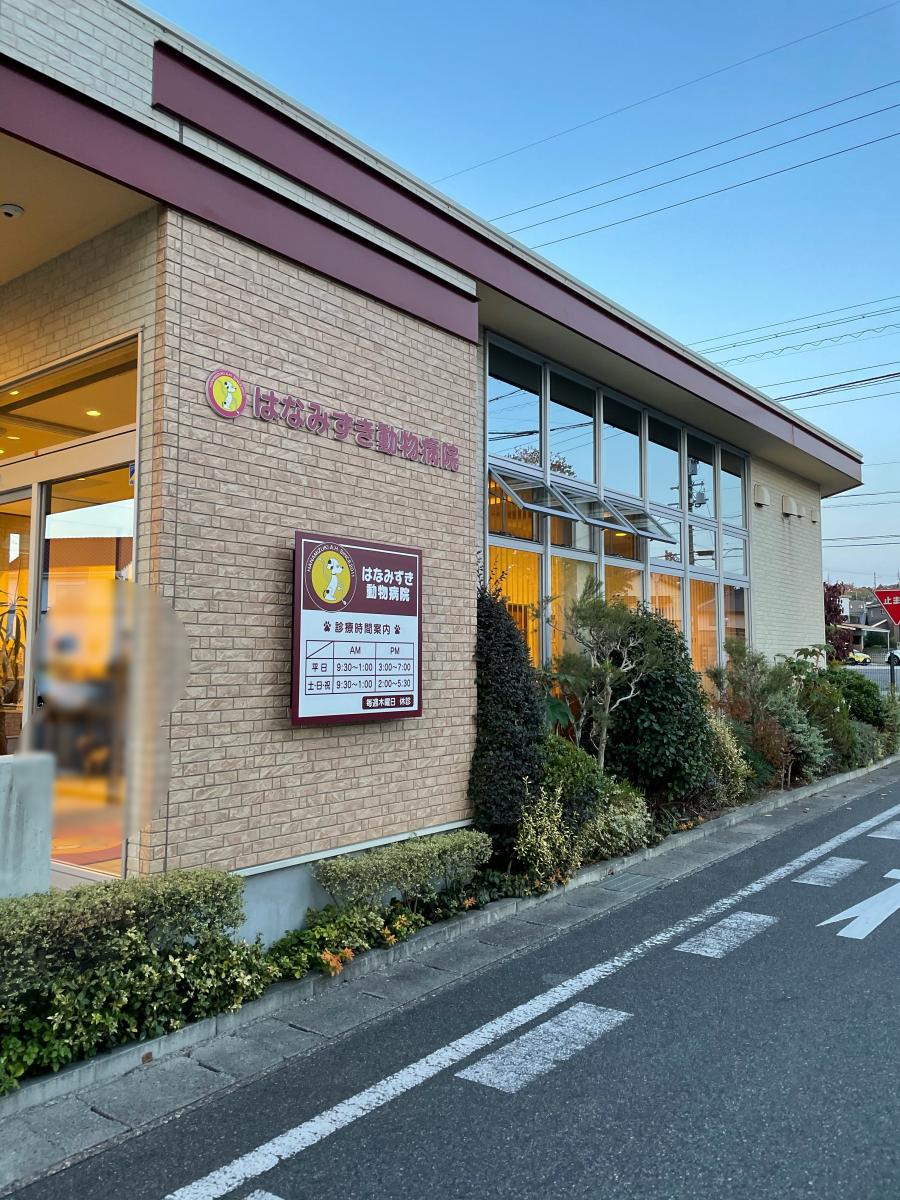 ドッグメディカル 最近投稿された口コミ 8ページ